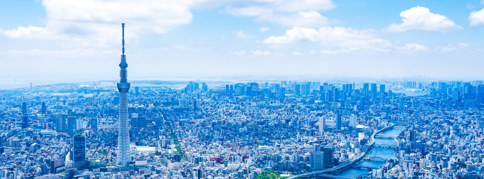 TOKYO WINTER CAREER FORUM 2025